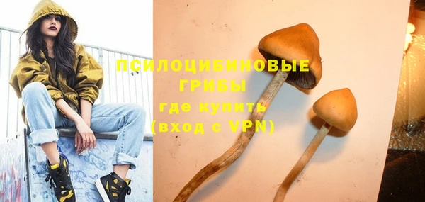 спайс Новодвинск