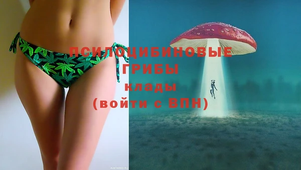 ГАЛЛЮЦИНОГЕННЫЕ ГРИБЫ Балабаново