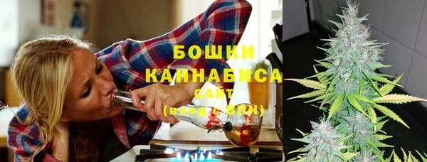 спайс Новодвинск