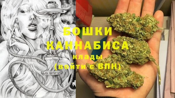 ГАЛЛЮЦИНОГЕННЫЕ ГРИБЫ Балабаново